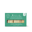 Eucalyptus Mint Travel Bar Soap Set